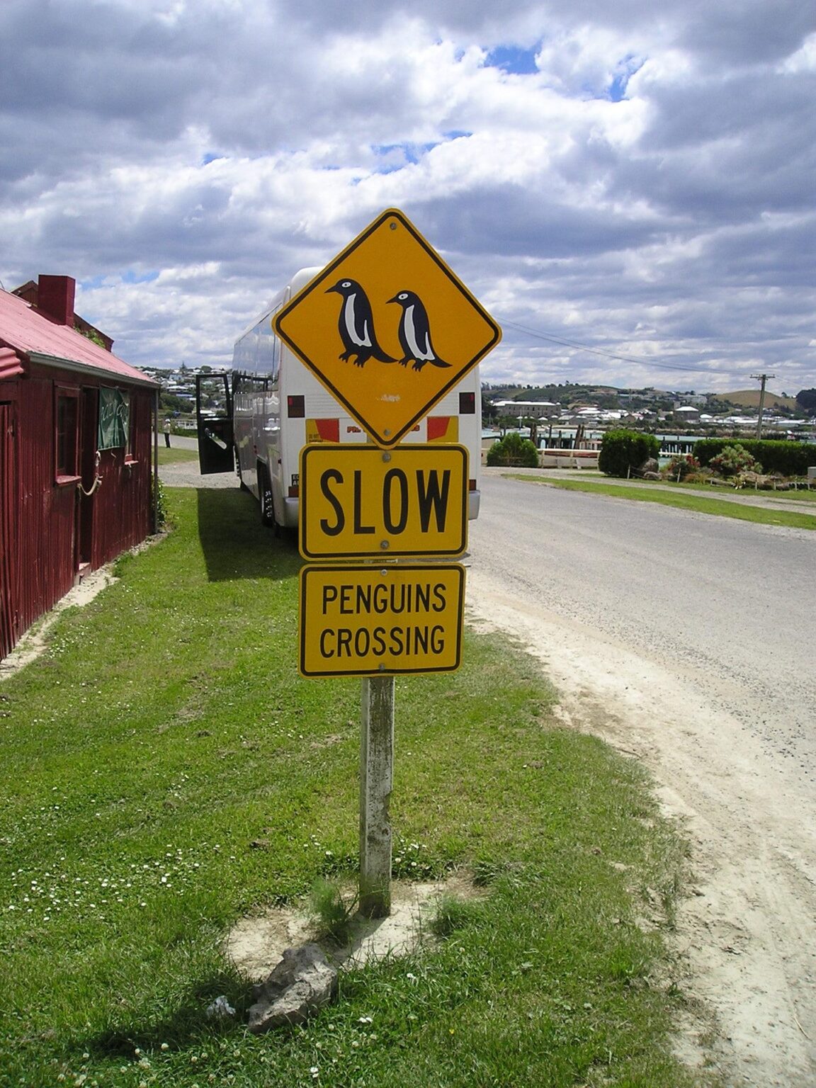 Penguins crossing