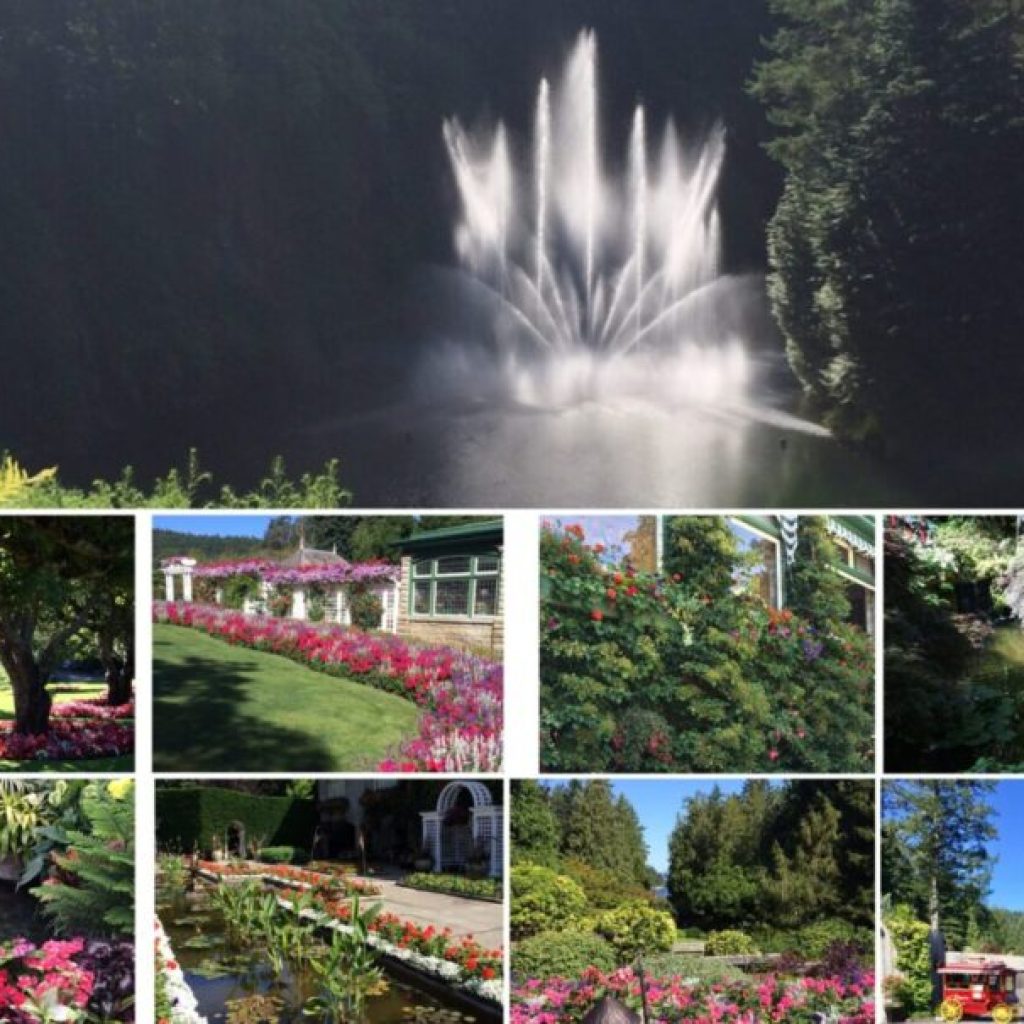 Butchard Gardens 2